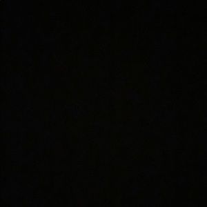 Meet your Posher, Maxine